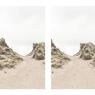 Dune by Brian David Stevens: among the most valuable of Scotland's natural habitats
