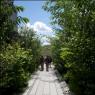 'A dramatic statement, 25ft off the ground': High Line Park in Manhattan 'A dramatic statement, 25ft off the ground': High Line Park in Manhattan