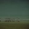 Re-run: 'Chariots of Fire' comes round the block 30 years on