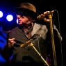 Listen to the lion: Van Morrison where he's happiest