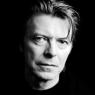 Where is he now? Bowie is back