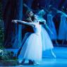 Wunderkinder: Natalia Osipova and Ivan Vasiliev in the Mikhailovsky's Giselle