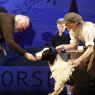 Never act with children and animals? Oliver Ford Davies (left) as Tom, with William (Ewan Harris), Sammy the collie and puppeteer Elisa de Grey
