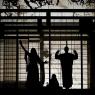 Butterfly, Trouble and Suzuki: in a Japanese fly-trap