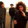 Mama Rosin: a live band that'll blow you away