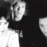 The Jam in 1982: at the peak of their powers