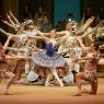 The mummy returns: Svetlana Zakharova and the Bolshoi in the rediscovered The Pharaoh's Daughter