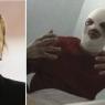 Sergei Filin speaks out from hospital as Galina Stepanenko takes over in interim