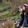 Sisterly feelings: Mark Duplass, Emily Blunt and Rosemarie DeWitt in 'Your Sister's Sister'