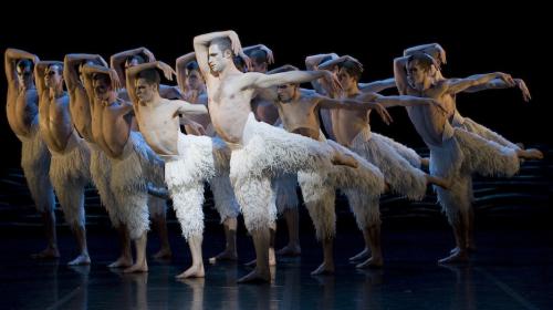 Richard Winsor leads the male swans of Bourne's Swan Lake, filmed spectacularly in 3D