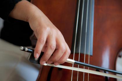 Viola de Hoog's left hand in action