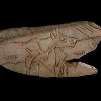 Fragment of decorated reindeer metatarsal (bone) engraved on the obverse surface with two reindeer, decorated. Palaeolithic. Madeleine, France; Copyright of The Trustees of the British Museum