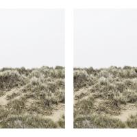 Photo Gallery: Aberdeenshire Sand Dunes