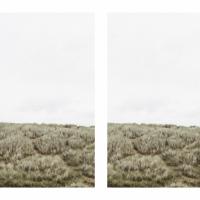 Photo Gallery: Aberdeenshire Sand Dunes