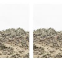 Photo Gallery: Aberdeenshire Sand Dunes