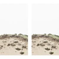 Photo Gallery: Aberdeenshire Sand Dunes