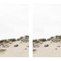 Photo Gallery: Aberdeenshire Sand Dunes