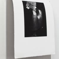 Alex Ball, Vinyl (Catlin Guide; Slade School of Fine Art )