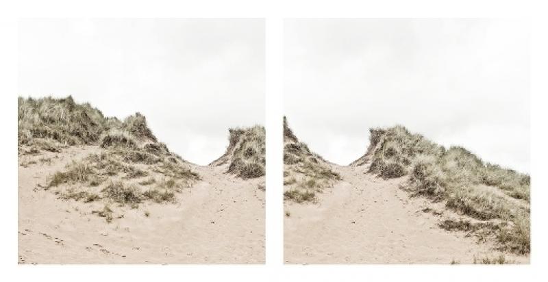 Dune by Brian David Stevens: among the most valuable of Scotland's natural habitats