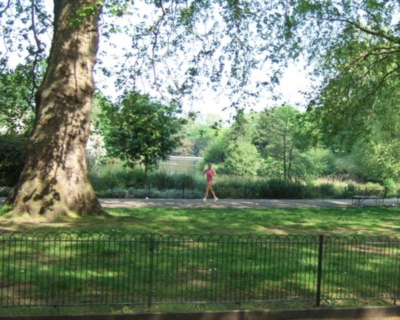 Battersea Park: run a half-marathon there and then go clubbing, all to raise money for planting urban trees Battersea Park: run a half-marathon there and then go clubbing, all to raise money for planting urban trees