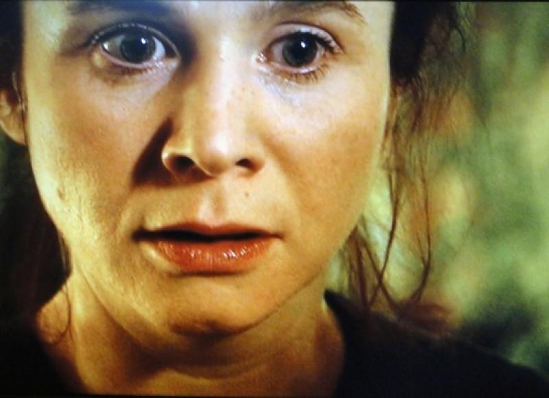 emily watson breaking the waves. Emily Watson made her remarkable debut in Breaking the Waves (1996).