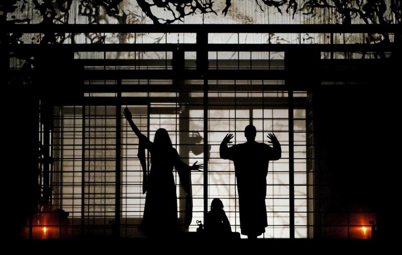 Butterfly, Trouble and Suzuki: in a Japanese fly-trap