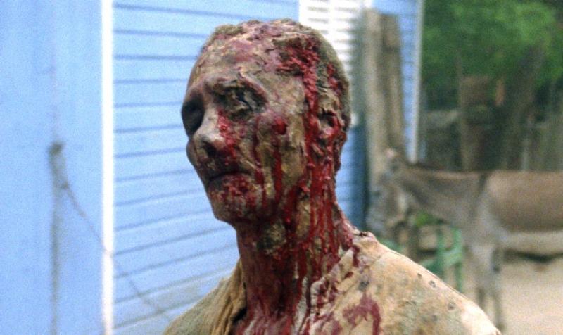 Hundreds of zombies, ready to pounce and bite: just one example from 'Zombie Flesh Eaters'