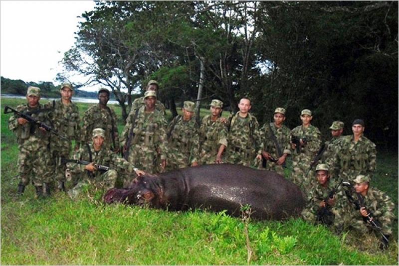 Colombian security forces hunted down Pepe, the hippo who once belonged to drug baron Pablo Escobar