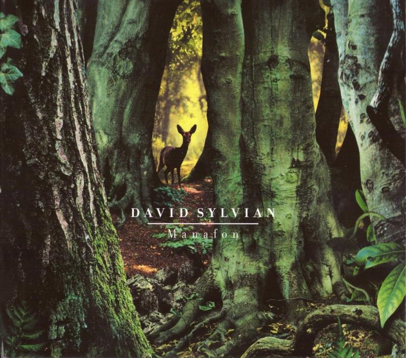 A sly, camp joke on its elusive creator? David Sylvian's 'Manafon'