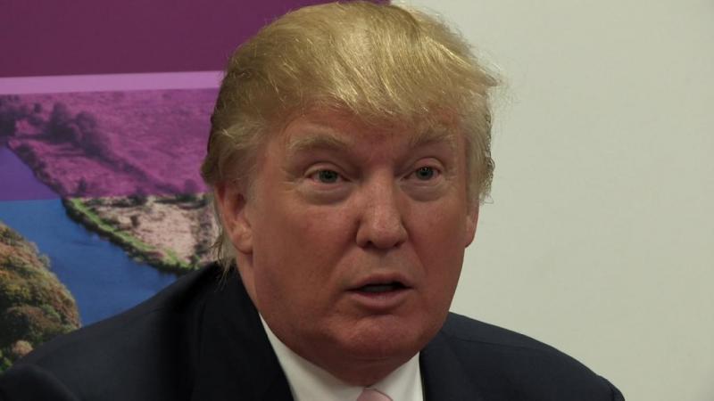 Trump: 'a gammon-faced, lizard-eyed, overcombed Goliath'