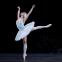 Marianela Nuñez as Odette: swan-quivery and vulnerable