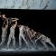 The barn dance at the end of the world: Maria Kochetkova and artists of San Francisco Ballet in Liam Scarlett's new 'Hummingbird'