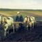 Ilya Repin's portrait of Tolstoy ploughing, 1889