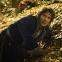 Cashing in: Martin Freeman as Bilbo, acting all 'Tookish' in the dragon Smaug's lair