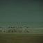 Re-run: 'Chariots of Fire' comes round the block 30 years on