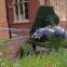 The Blackheath Conservatoire's distinctive flowery piano