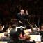 Bernard Haitink with the Royal Concertgebouw performing a home-spun Bruckner Five