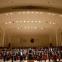 Hesitant start from Vasily Petrenko and the Royal Liverpool Philharmonic Orchestra gives way to a wondrous Tristan