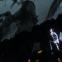 Flightless: Sarah Lamb as the Raven Girl in Wayne McGregor's new story-ballet