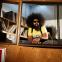 Reggie Watts: waitin' on a train