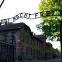 Beyond the gates: the lives of six survivors after Auschwitz, and how they have passed on their experiences