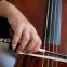 Viola de Hoog's left hand in action