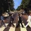 The Beatles head for the exit, 1969