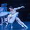 Falling for a swan: Ivan Vasiliev's Siegfried is gorgeously tender to Alina Cojocaru's exquisite Odette