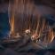 Junor Souza, Erina Takahashi, Alina Cojocaru and Vadim Muntagirov sail the high seas