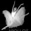 'Apollo's Angels' by Jennifer Homans: 'A book that every dance lover should read' 'Apollo's Angels' by Jennifer Homans: 'A book that every dance lover should read'