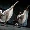 'Glacial Decoy': 'It’s a dance where time dances without passing, somehow. Magical.'
