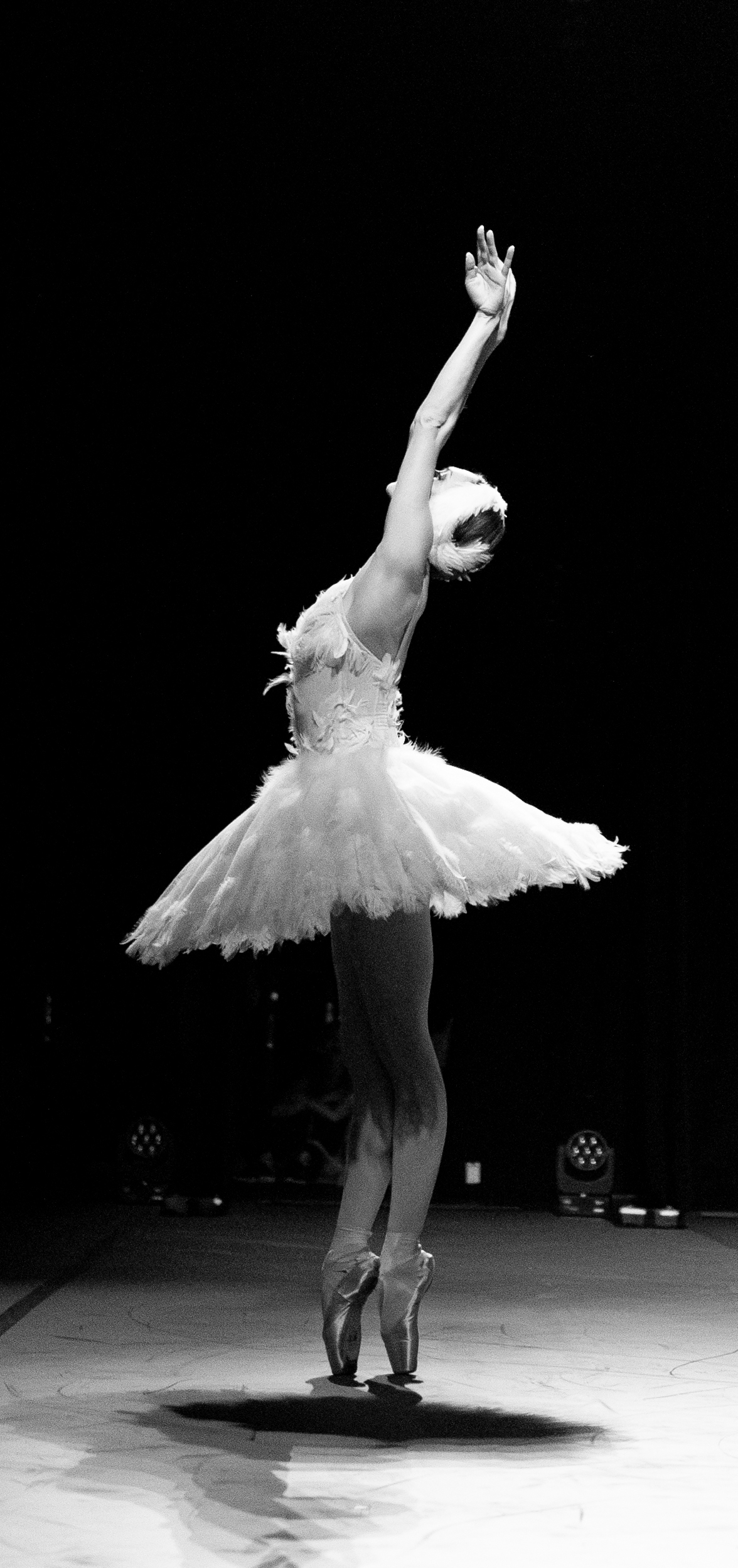 Olga Smirnova in Dying Swan at the Dance for Ukraine gala
