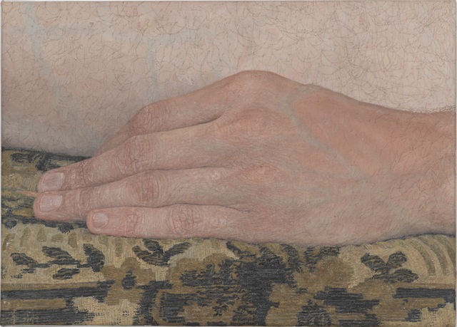 Ellen Altfest, The Hand, 2011