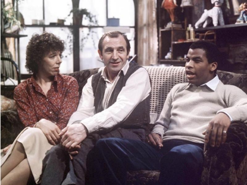Essays on sitcoms